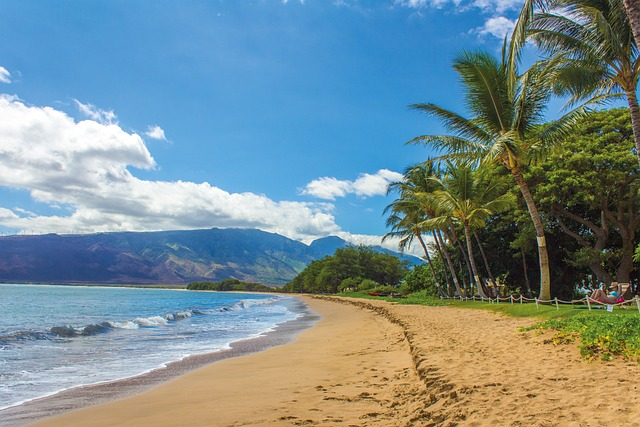 Renting in Hawaii? Don't Miss This Essential Guide to Airbnb Laws and Regulations