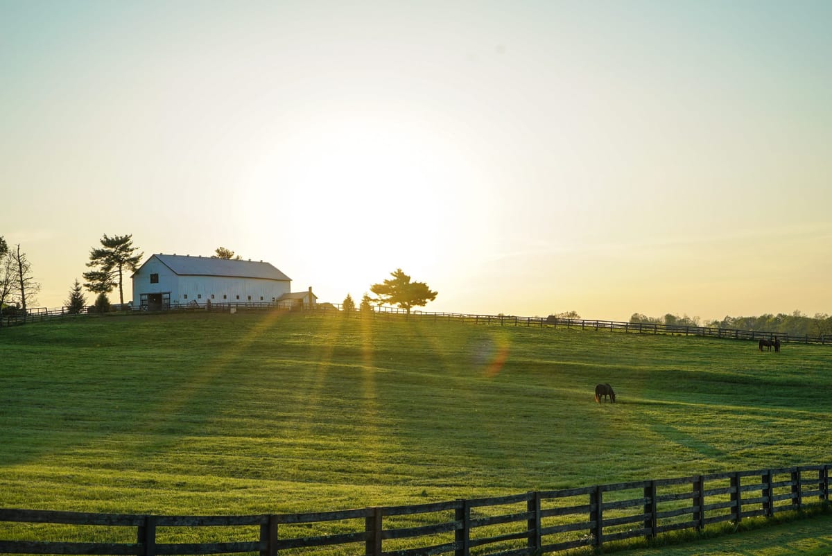 Transform Your Farm into a 5-Star Airbnb: A Guide for Ambitious Hosts!