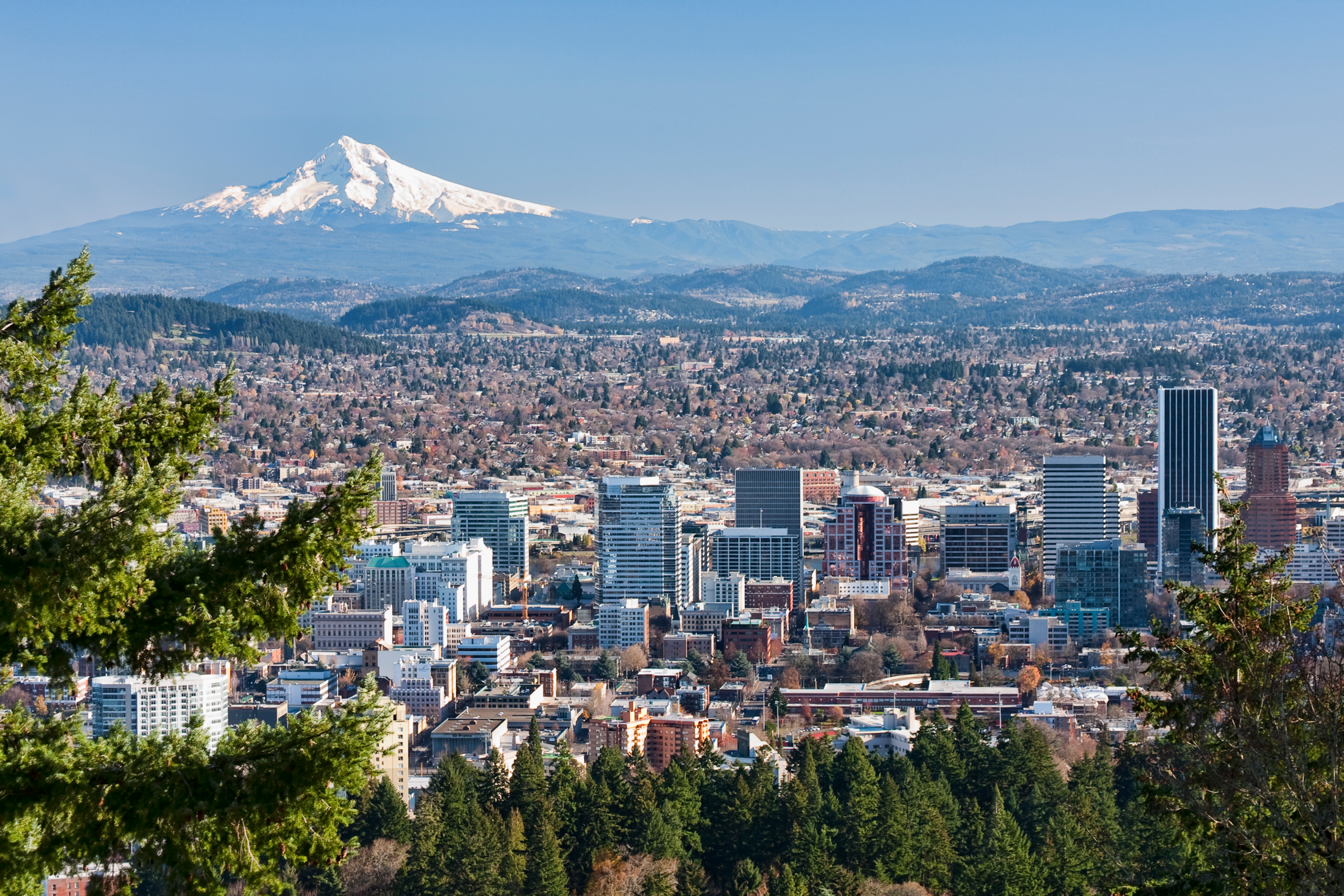 Airbnb Portland: The Market, The Best Tips, and The Local Must-Sees